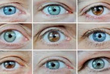Болезни глаз симптомы