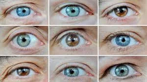 Болезни глаз симптомы
