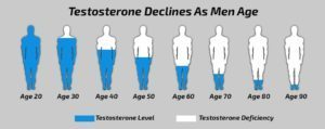 с возрастом тестостерон снижается